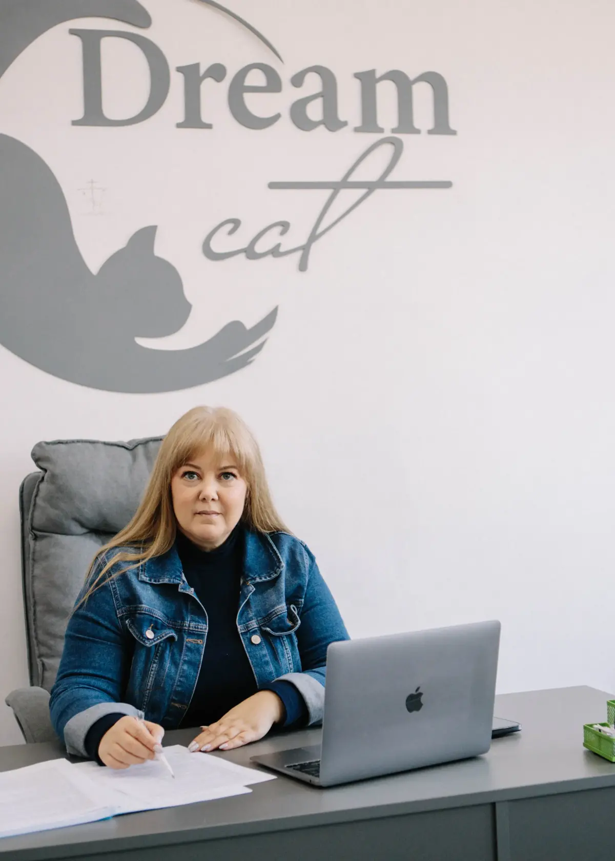 Office DreamCat
